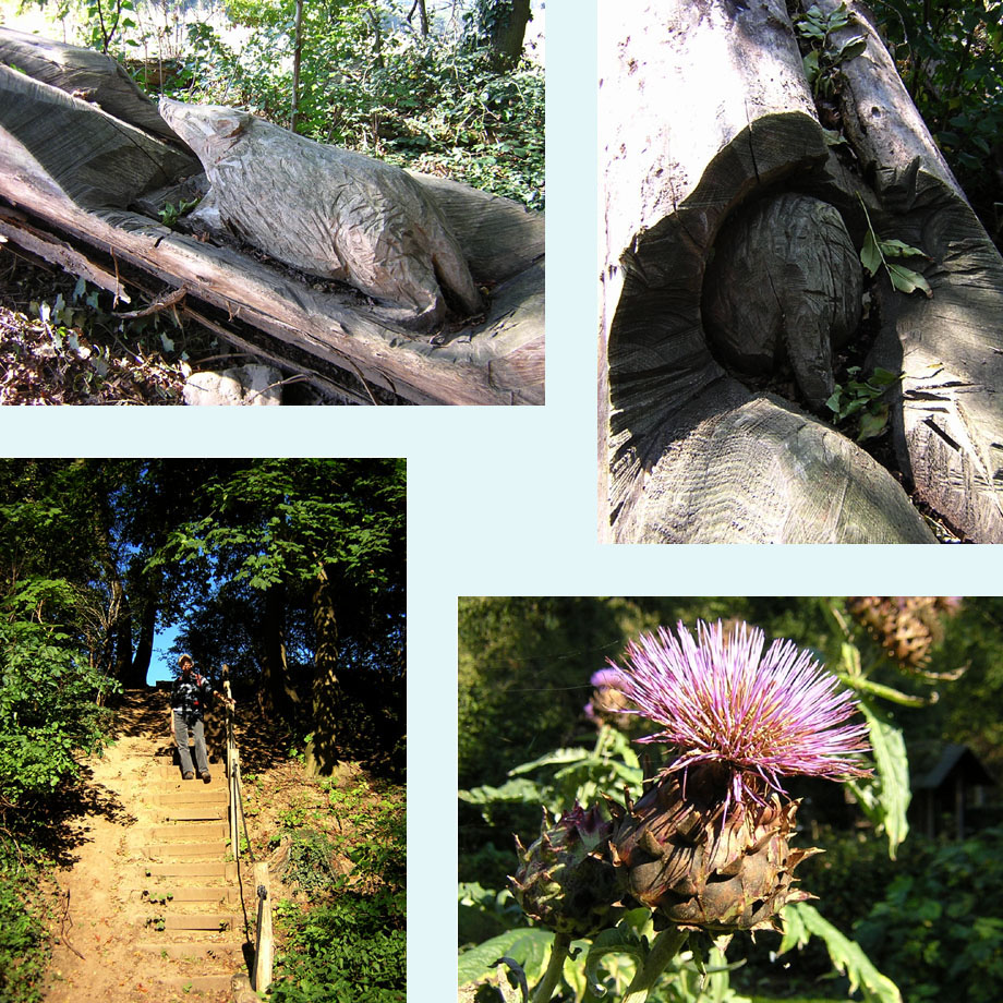 twee dassen, trappetje, kardoen in bloei