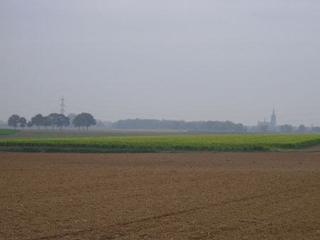 heldergele koolzaadvelden