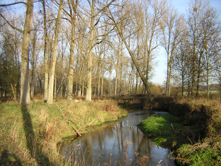 de Geul kronkelt volop