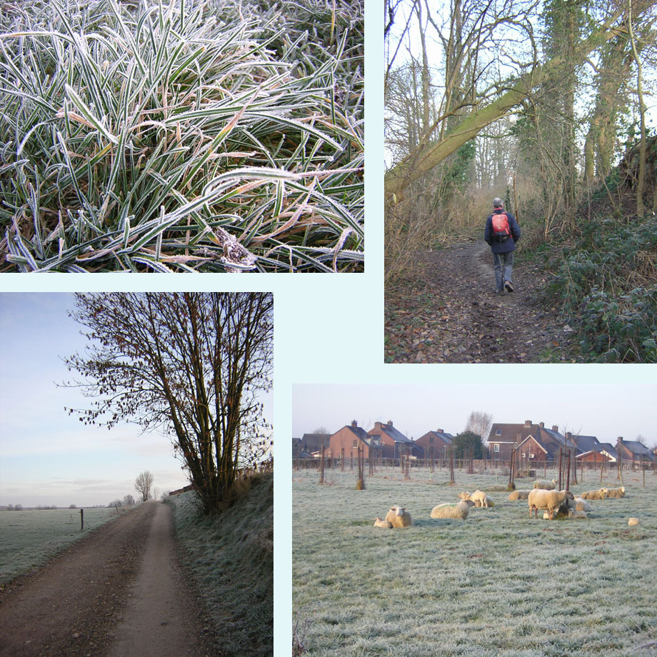 rijp, hol paadje, zon op de velden, nu al lammetjes