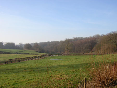 het eerste stukje Savelsbos