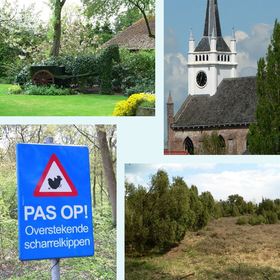 een plantaardig paard, de kerk van Ommen, pas op voor scharrelkippen, veel jeneverbessen