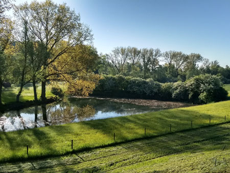 veel water in de Ooijpolder
