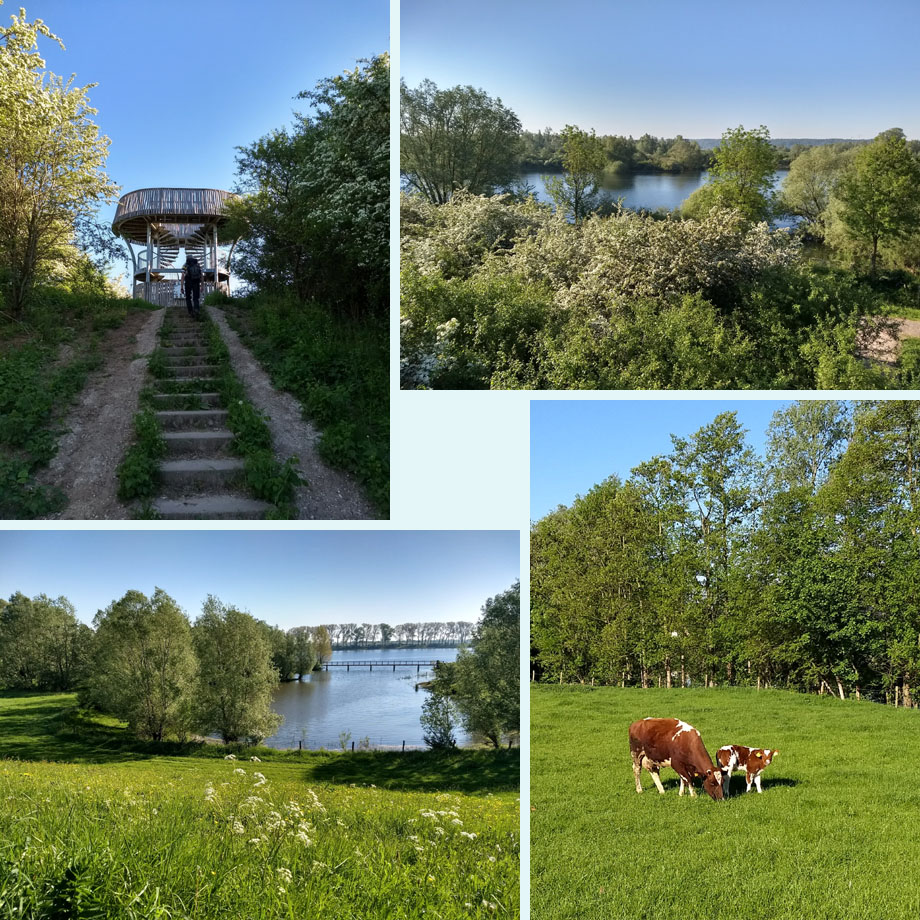 uitkijktoren, witte bloesemwolken, Bisonbaai, jong grut in de wei