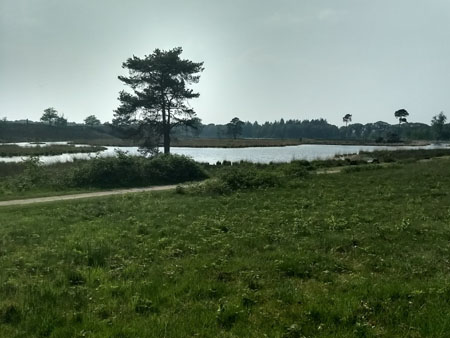 Haterts/Overasselts ven