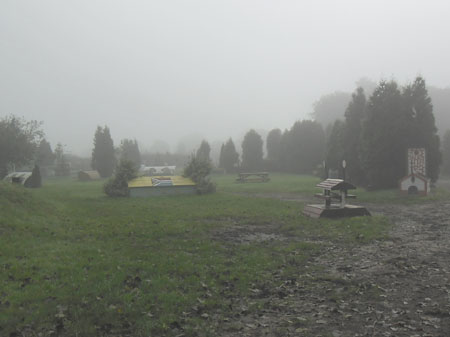 alles wat een paard zich kan wensen