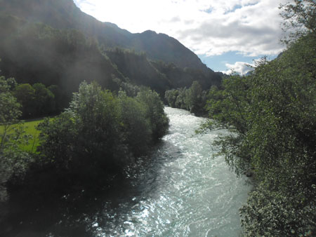 Albula