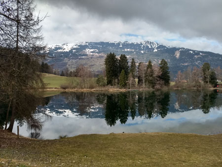Canovasee