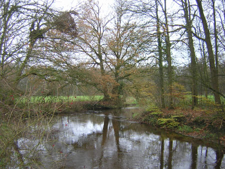 kronkels in de Dinkel
