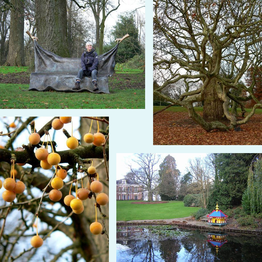 'na gedane arbeid is het goed rusten', plataan, ginkgo, zijn eendjes kleurenblind?