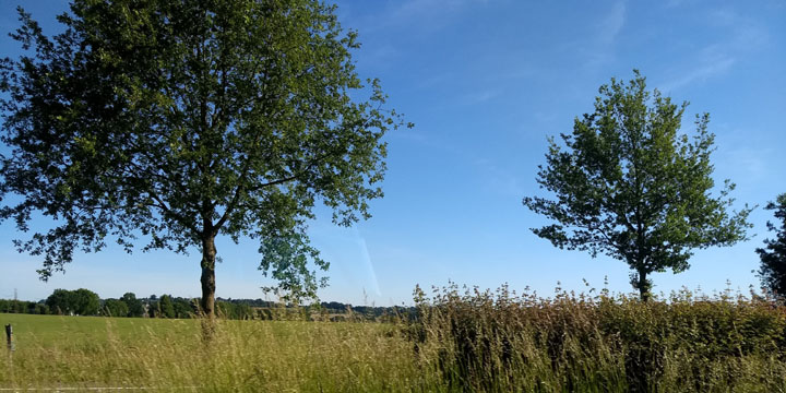 bye Limburg