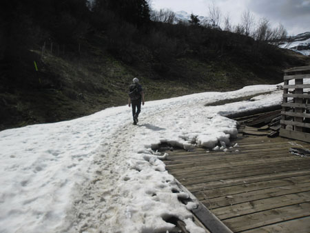 klein sneeuwveldje