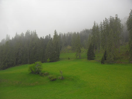 supergroen